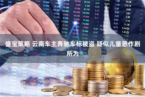 盛宝策略 云南车主奔驰车标被盗 疑似儿童恶作剧所为