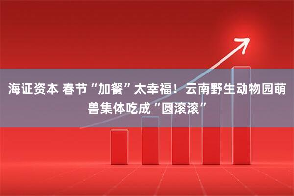 海证资本 春节“加餐”太幸福！云南野生动物园萌兽集体吃成“圆滚滚”