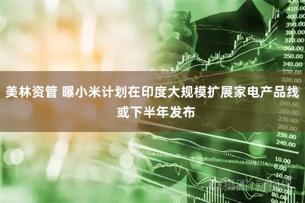 美林资管 曝小米计划在印度大规模扩展家电产品线  或下半年发布