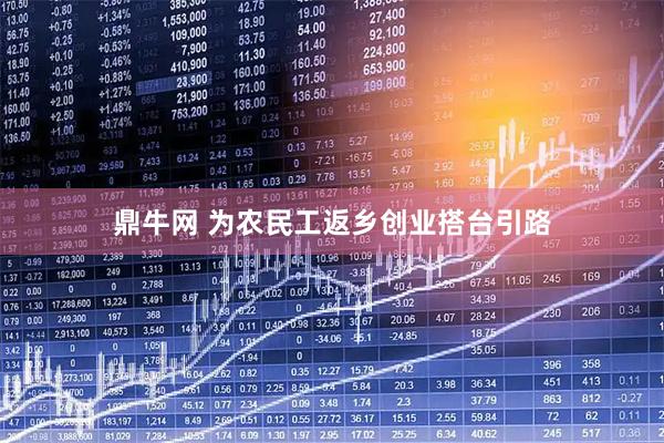 鼎牛网 为农民工返乡创业搭台引路