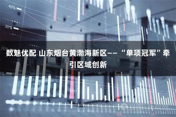 数魅优配 山东烟台黄渤海新区—— “单项冠军”牵引区域创新