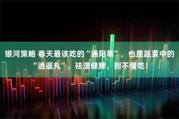 银河策略 春天最该吃的“通阳草”，也是蔬菜中的“逍遥丸”，祛湿健脾，别不懂吃！
