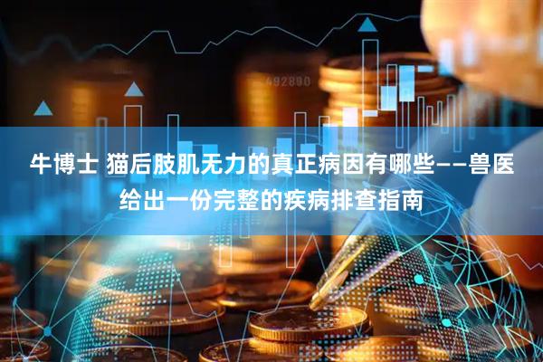 牛博士 猫后肢肌无力的真正病因有哪些——兽医给出一份完整的疾病排查指南