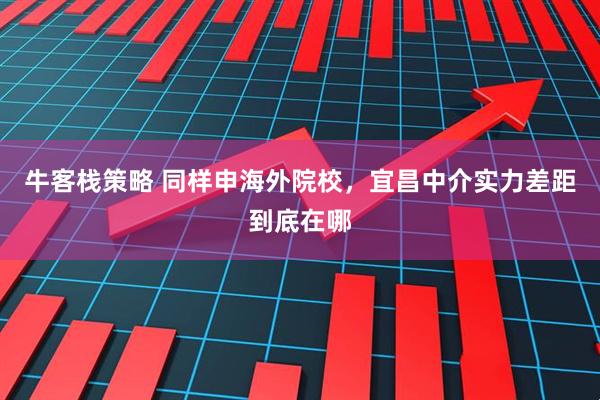 牛客栈策略 同样申海外院校，宜昌中介实力差距到底在哪