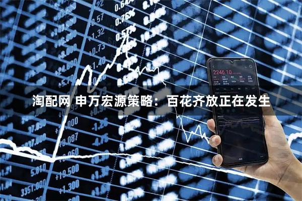 淘配网 申万宏源策略：百花齐放正在发生