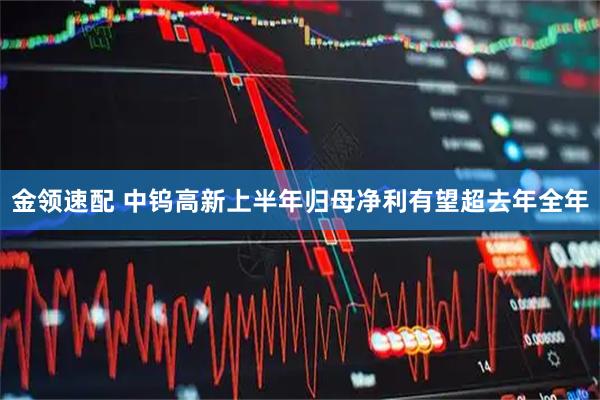 金领速配 中钨高新上半年归母净利有望超去年全年